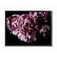 thumbnail image 1 of Stupell Industries Withered Pink Bouquet Up Close Minimal Photograph Framed Wall Art Design by Elise Catterall, 11" x 14", Black Framed, 1 of 5