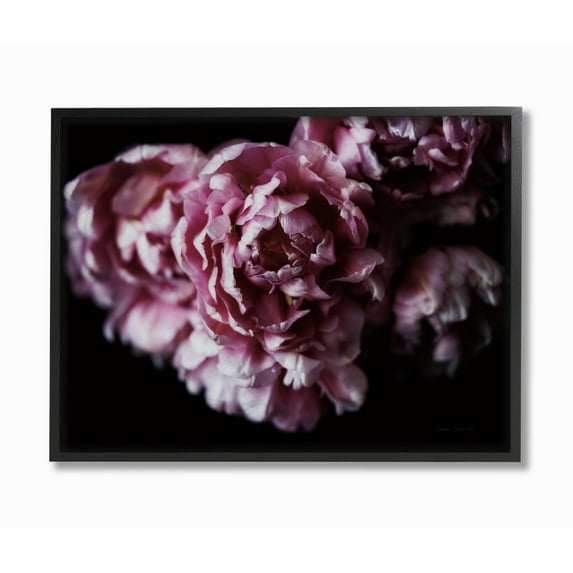 Stupell Industries Withered Pink Bouquet Up Close Minimal Photograph Framed Wall Art Design by Elise Catterall, 11" x 14", Black Framed