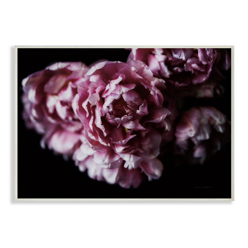 Stupell Industries Withered Pink Bouquet Up Close Minimal Photograph ...