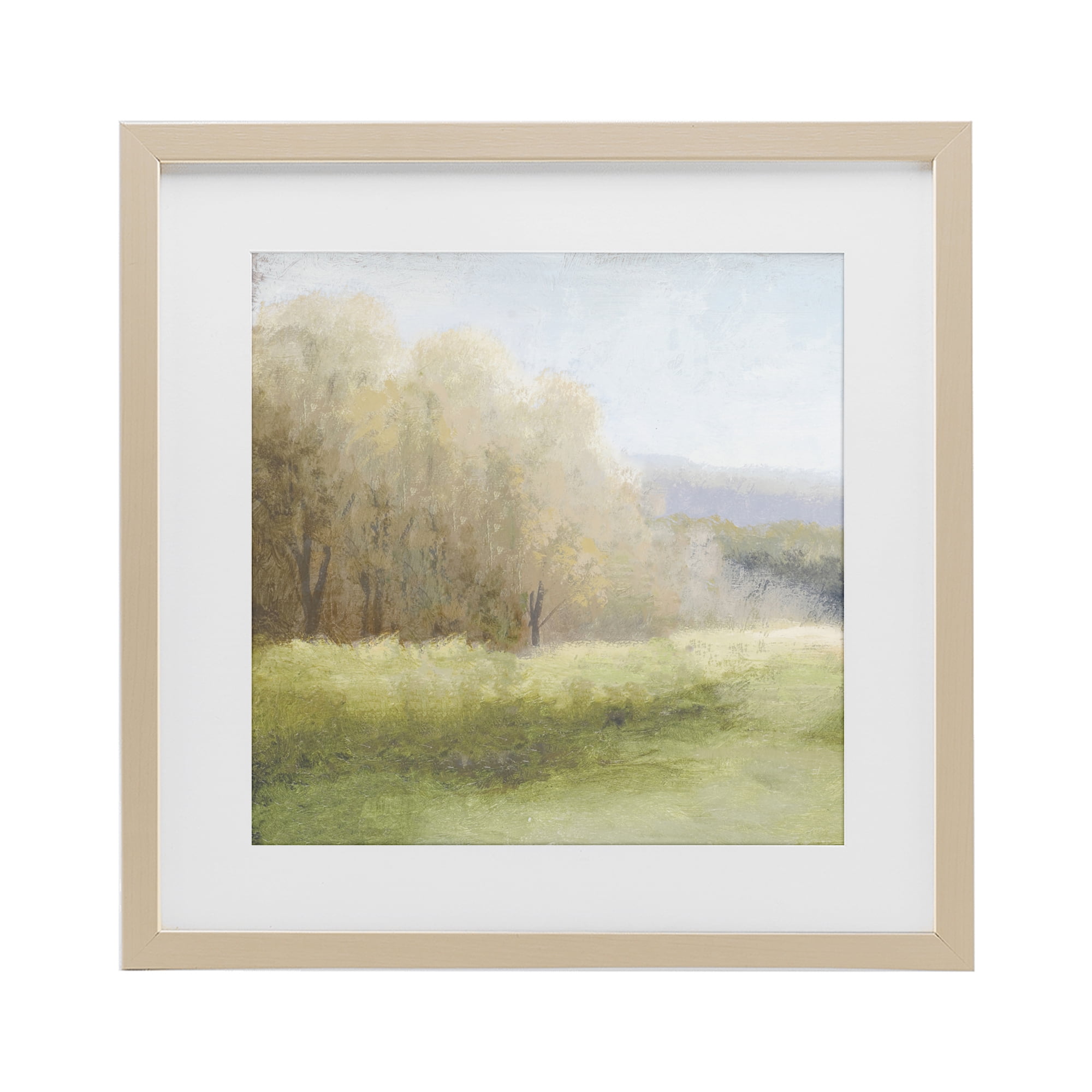 Stupell Industries Within Familiar Place Meadow Birch Framed Print Under Glass, design by Michael Marcon