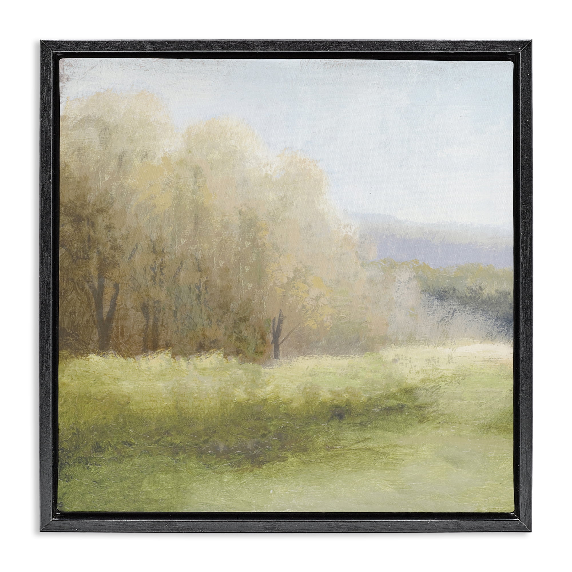 Stupell Industries Within Familiar Place Meadow Black Framed Floater Canvas Wall Art, design by Michael Marcon
