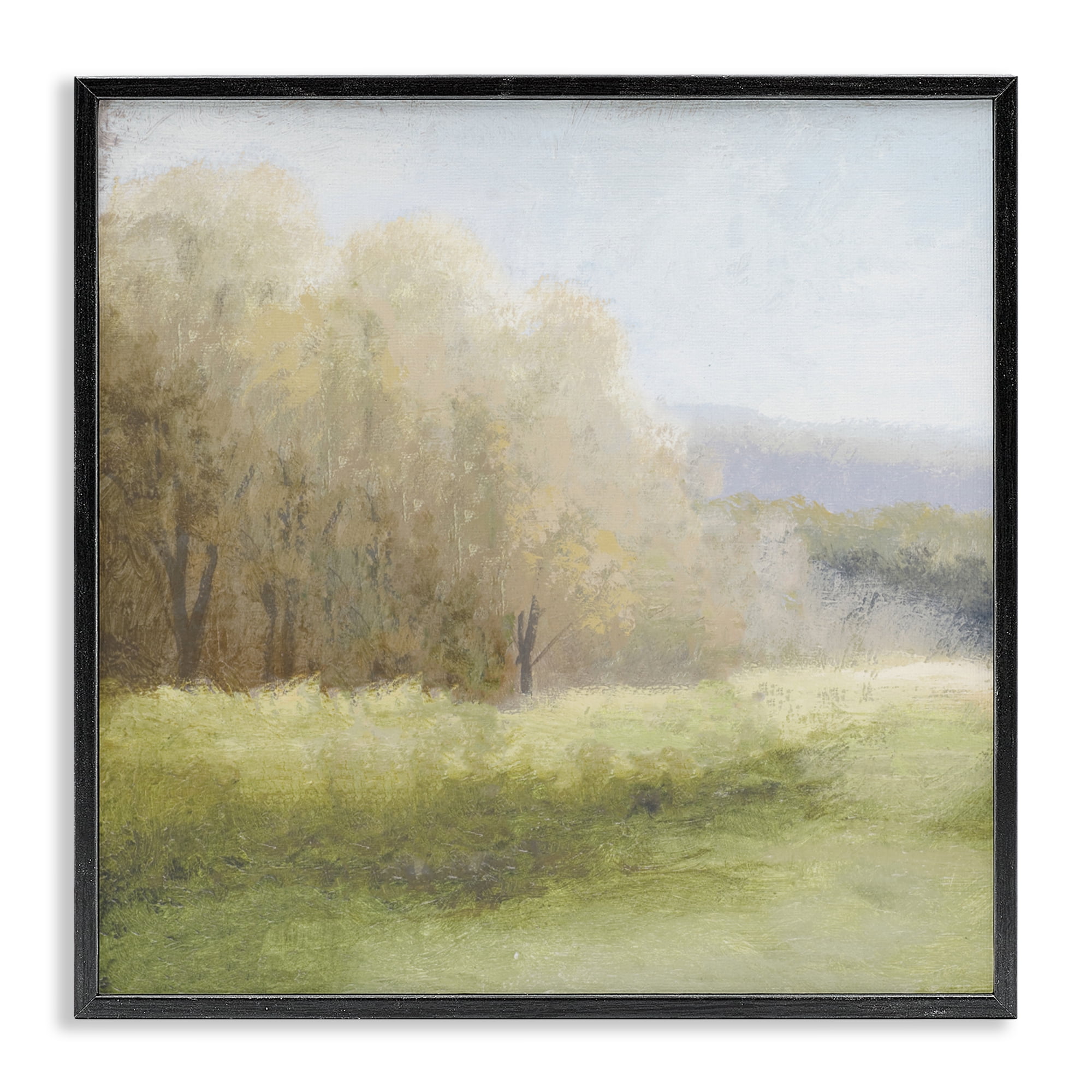 Stupell Industries Within Familiar Place Meadow Black Framed Giclee Art, design by Michael Marcon