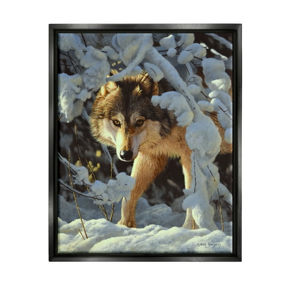 Stupell Industries Wolf Among Snowy Branches Animals & Insects Photography Black Floater Framed Art Print Wall Art, 25 x 31