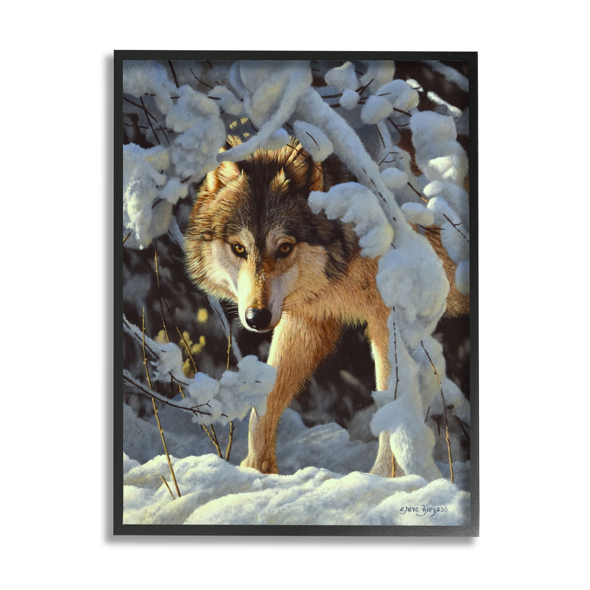 Stupell Industries Wolf Among Snowy Branches Animals & Insects Photography Black Framed Art Print Wall Art, 16 x 20