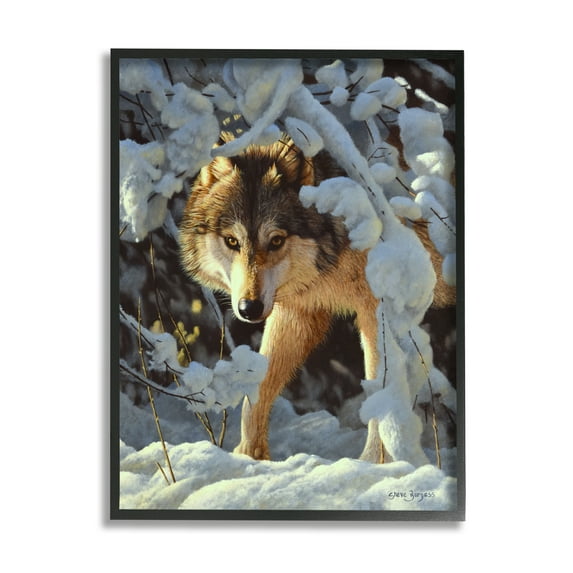 Stupell Industries Wolf Among Snowy Branches Animals & Insects Photography Black Framed Art Print Wall Art, 24 x 30