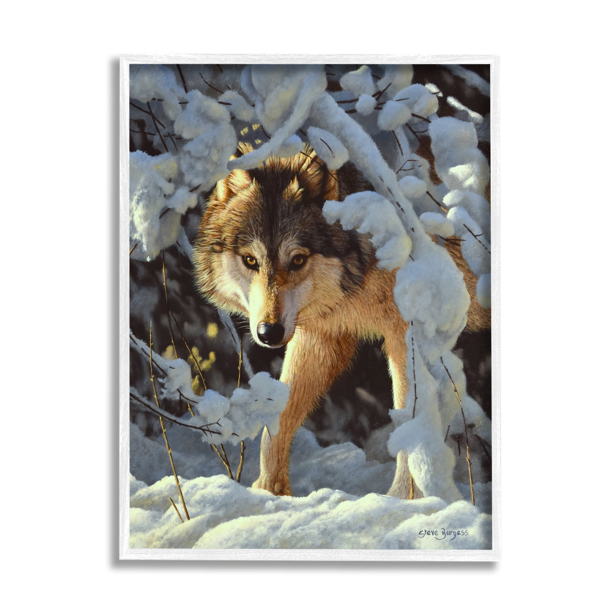 Stupell Industries Wolf Among Snowy Branches Animals & Insects Photography White Framed Art Print Wall Art, 11 x 14