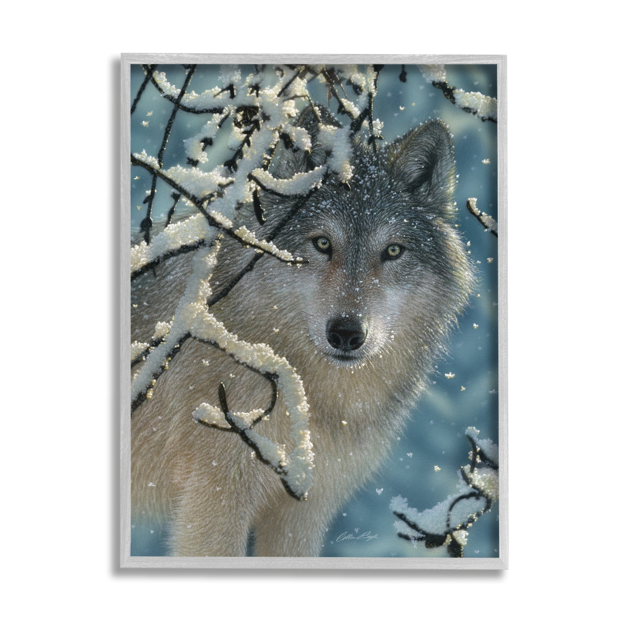 Stupell Industries Wolf Behind Snowy Branches Winter Wild Forest Animal, 16 x 20, Design by Collin Bogle