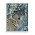 thumbnail image 1 of Stupell Industries Wolf Behind Snowy Branches Winter Wild Forest Animal, 16 x 20, Design by Collin Bogle, 1 of 5