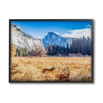 Stupell Industries Wolf Grazing Rural Grassland Clear Sky Mountains Photograph Black Framed Art Print Wall Art, Design by Jeff Poe Photography