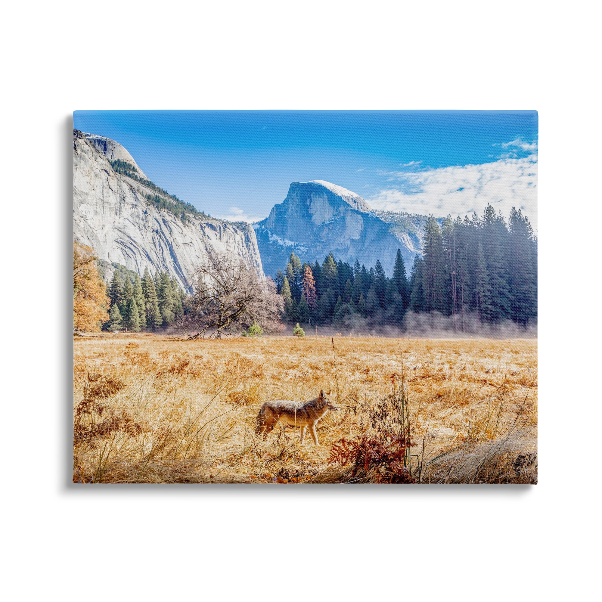 Stupell Industries Wolf Grazing Rural Grassland Clear Sky Mountains Photograph Gallery Wrapped Canvas Print Wall Art, Design by Jeff Poe Photography