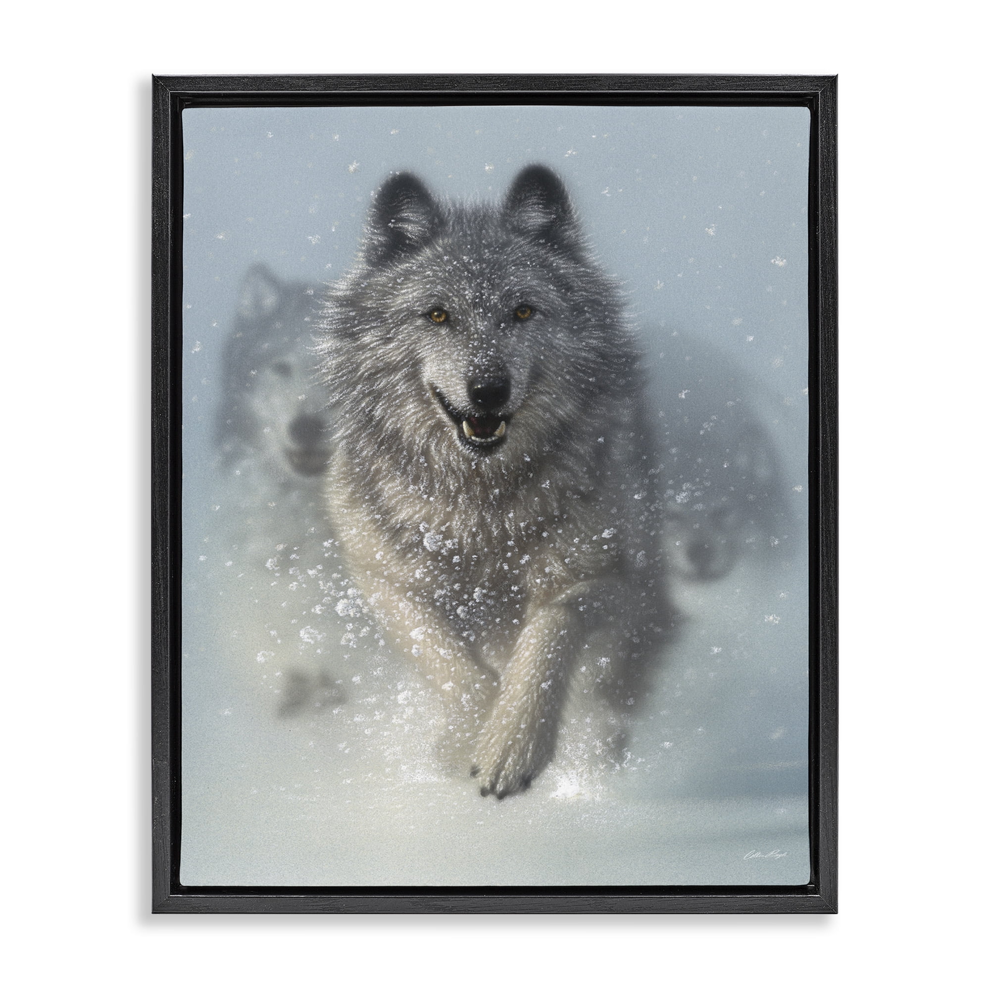 Stupell Industries Wolves Running Through Snow Animals & Insects Photography Black Floater Framed Canvas Art Print Wall Art, 25 x 31