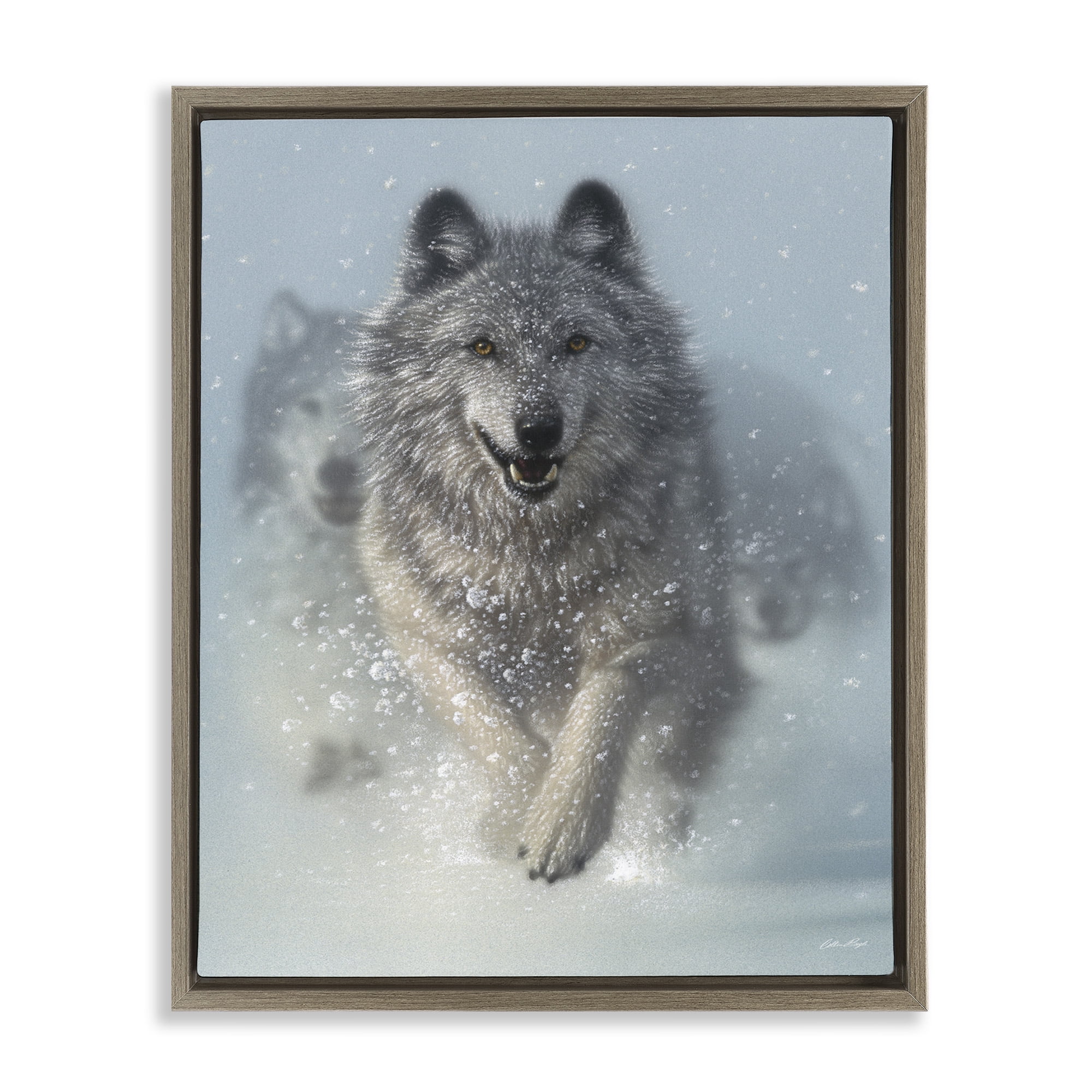 Stupell Industries Wolves Running Through Snow Animals & Insects Photography Brown Floater Framed Canvas Art Print Wall Art, 17 x 21