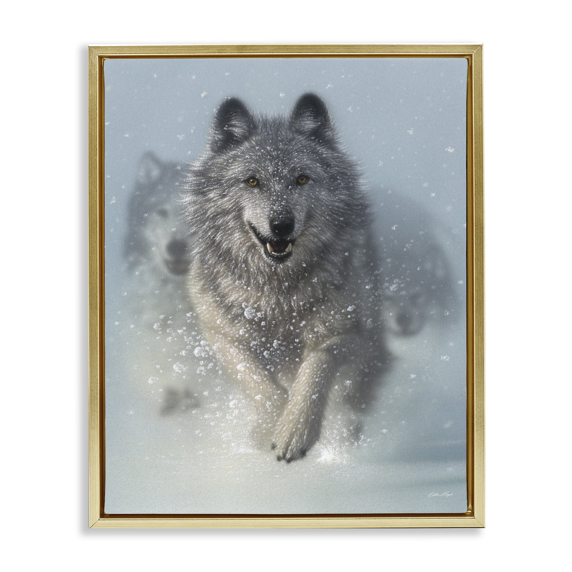 Stupell Industries Wolves Running Through Snow Animals & Insects Photography Gold Floater Framed Canvas Art Print Wall Art, 25 x 31