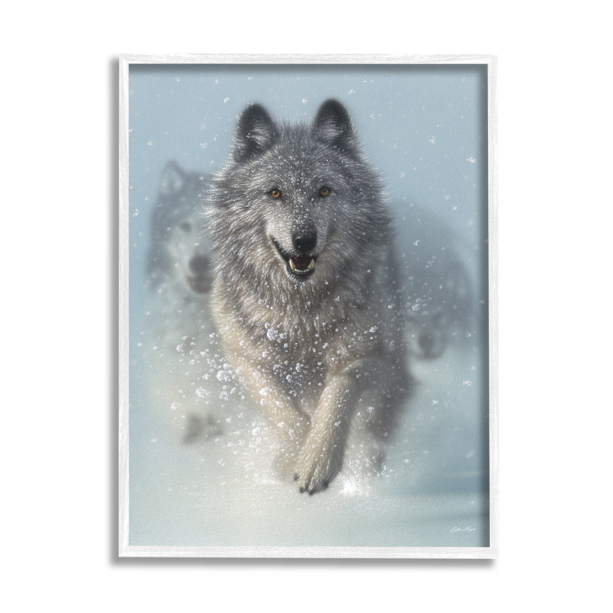Stupell Industries Wolves Running Through Snow Siberian Wild Winter Animals, 11 x 14, Design by Collin Bogle