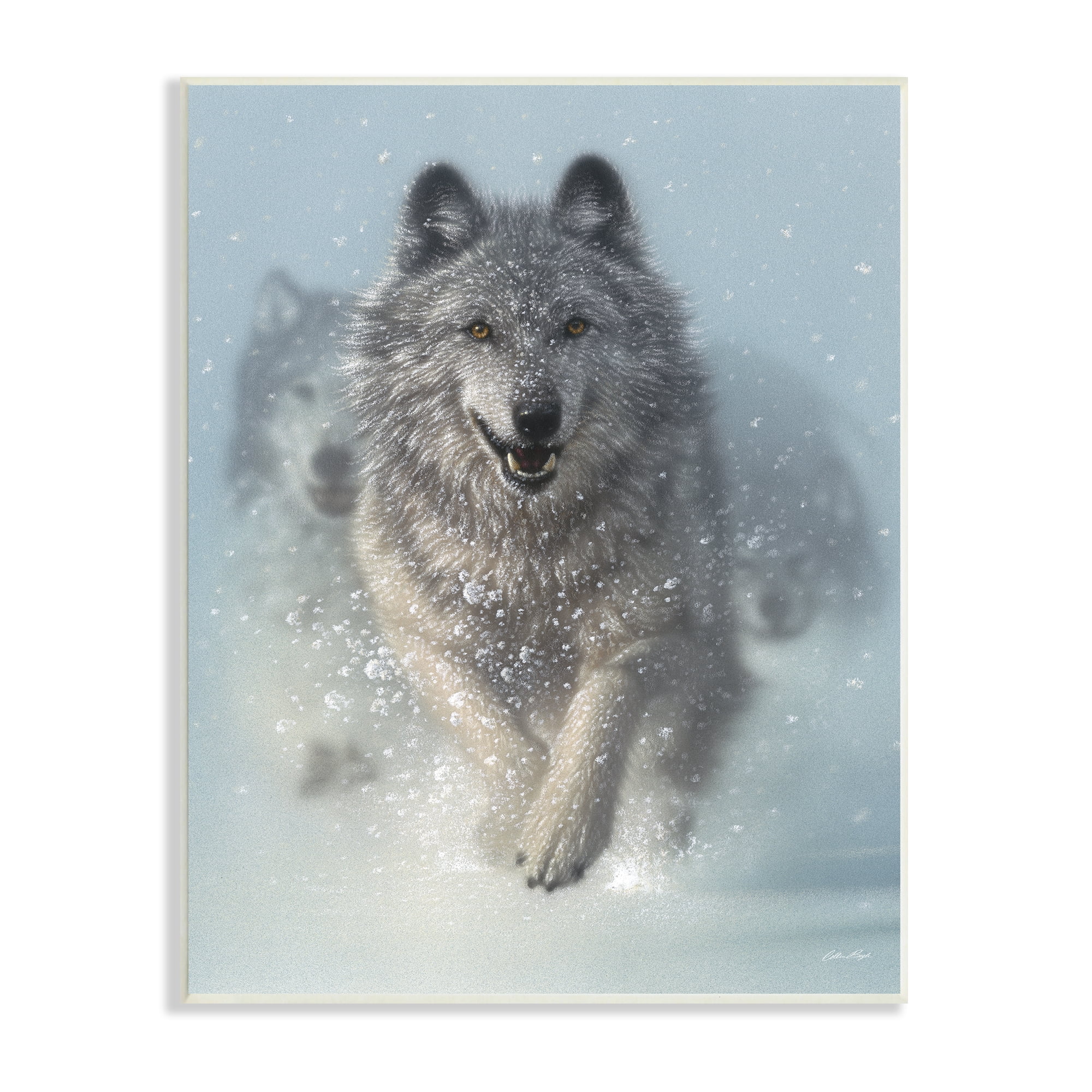 Stupell Industries Wolves Running Through Snow Siberian Wild Winter Animals, 13 x 19, Design by Collin Bogle