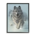 thumbnail image 1 of Stupell Industries Wolves Running Through Snow Siberian Wild Winter Animals, 24 x 30, Design by Collin Bogle, 1 of 7