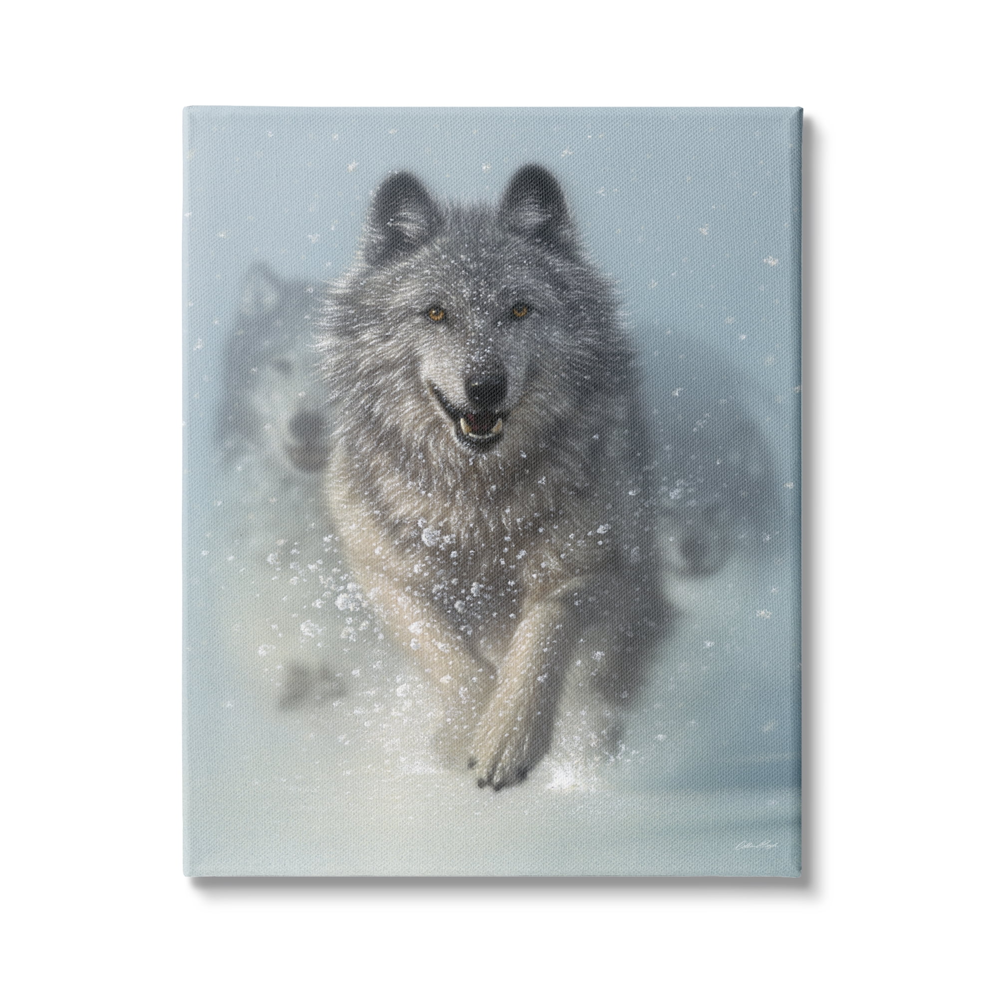 Stupell Industries Wolves Running Through Snow Siberian Wild Winter Animals, 36 x 48, Design by Collin Bogle