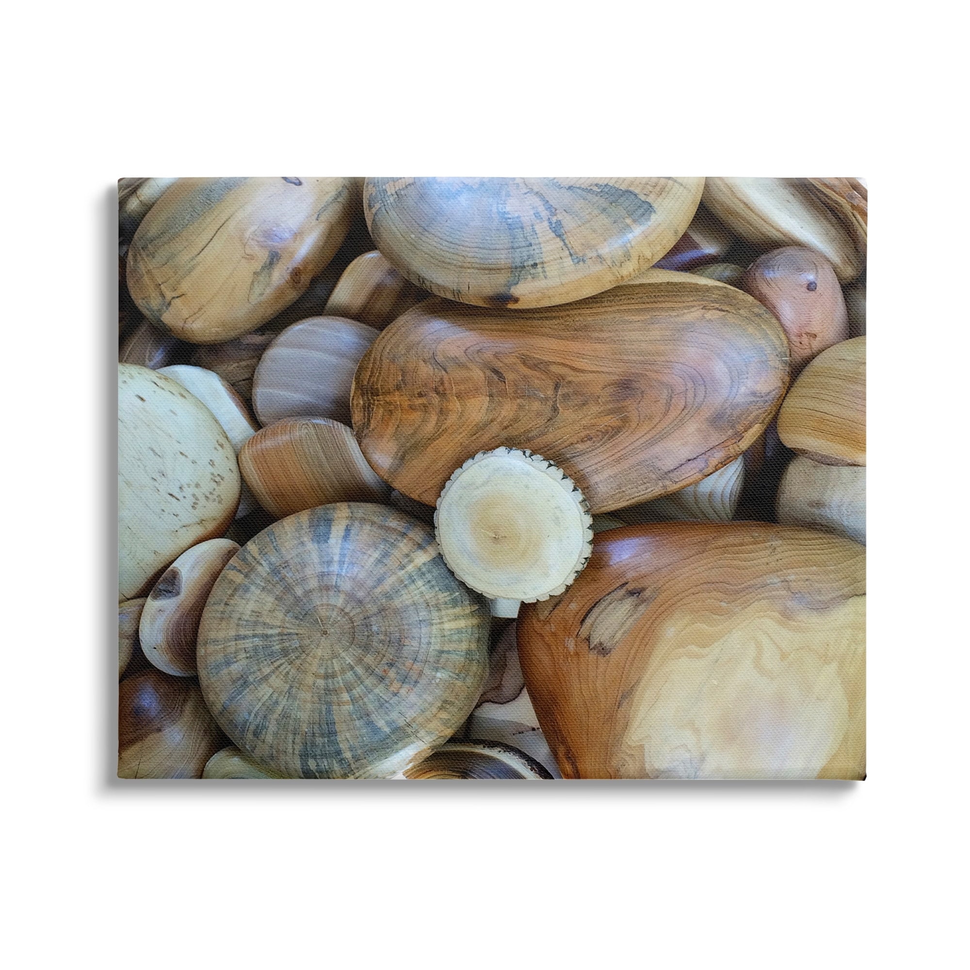 Stupell Industries Wood Stones Nature Photography Landscape Photography Gallery Wrapped Canvas Print Wall Art