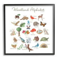 Stupell Industries Woodland Alphabet Wildlife Botanicals Learning Forest Creatures Graphic Art Black Framed Art Print Wall Art, Design by Dishique