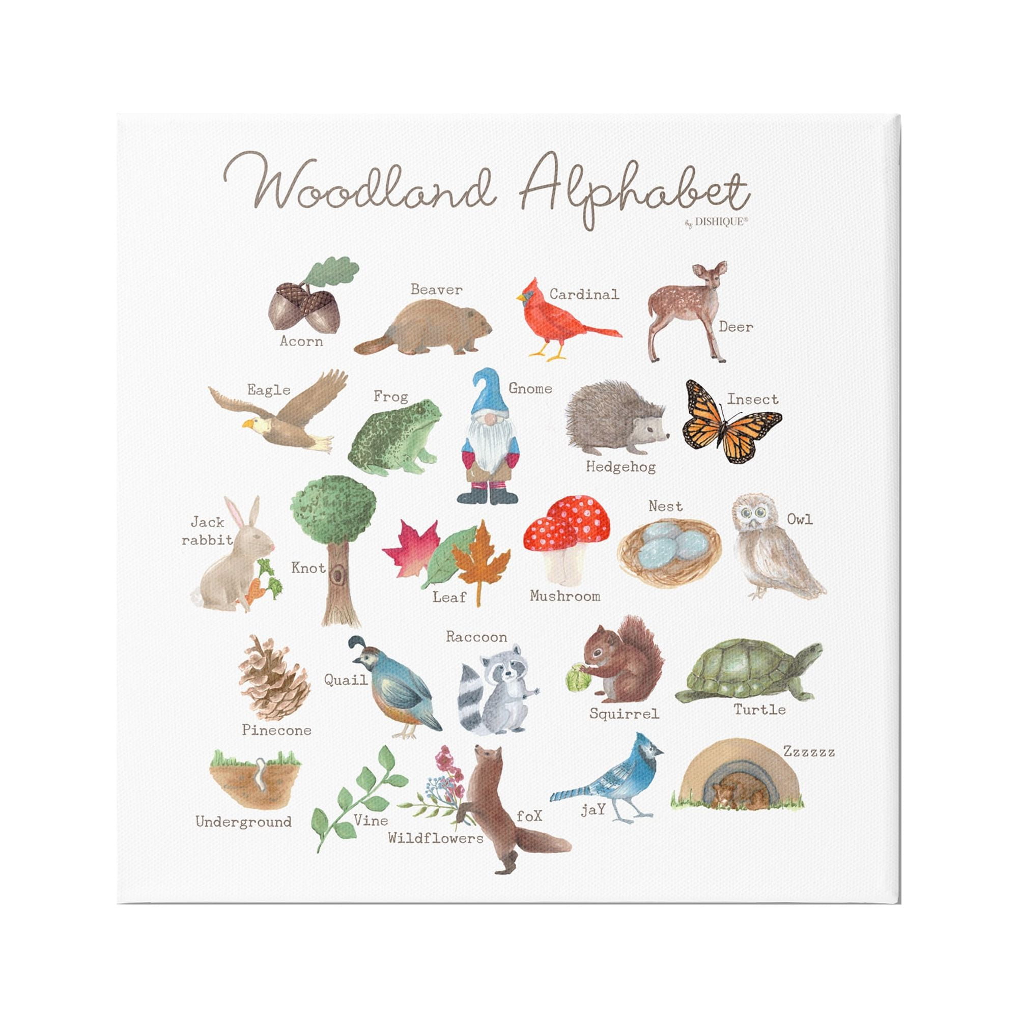Stupell Industries Woodland Alphabet Wildlife Botanicals Learning Forest Creatures Graphic Art Gallery Wrapped Canvas Print Wall Art, Design by Dishique