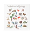 thumbnail image 1 of Stupell Industries Woodland Alphabet Wildlife Botanicals Learning Forest Creatures Graphic Art Gallery Wrapped Canvas Print Wall Art, Design by Dishique, 1 of 5