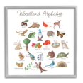 thumbnail image 1 of Stupell Industries Woodland Alphabet Wildlife Botanicals Learning Forest Creatures Graphic Art Gray Framed Art Print Wall Art, Design by Dishique, 1 of 5