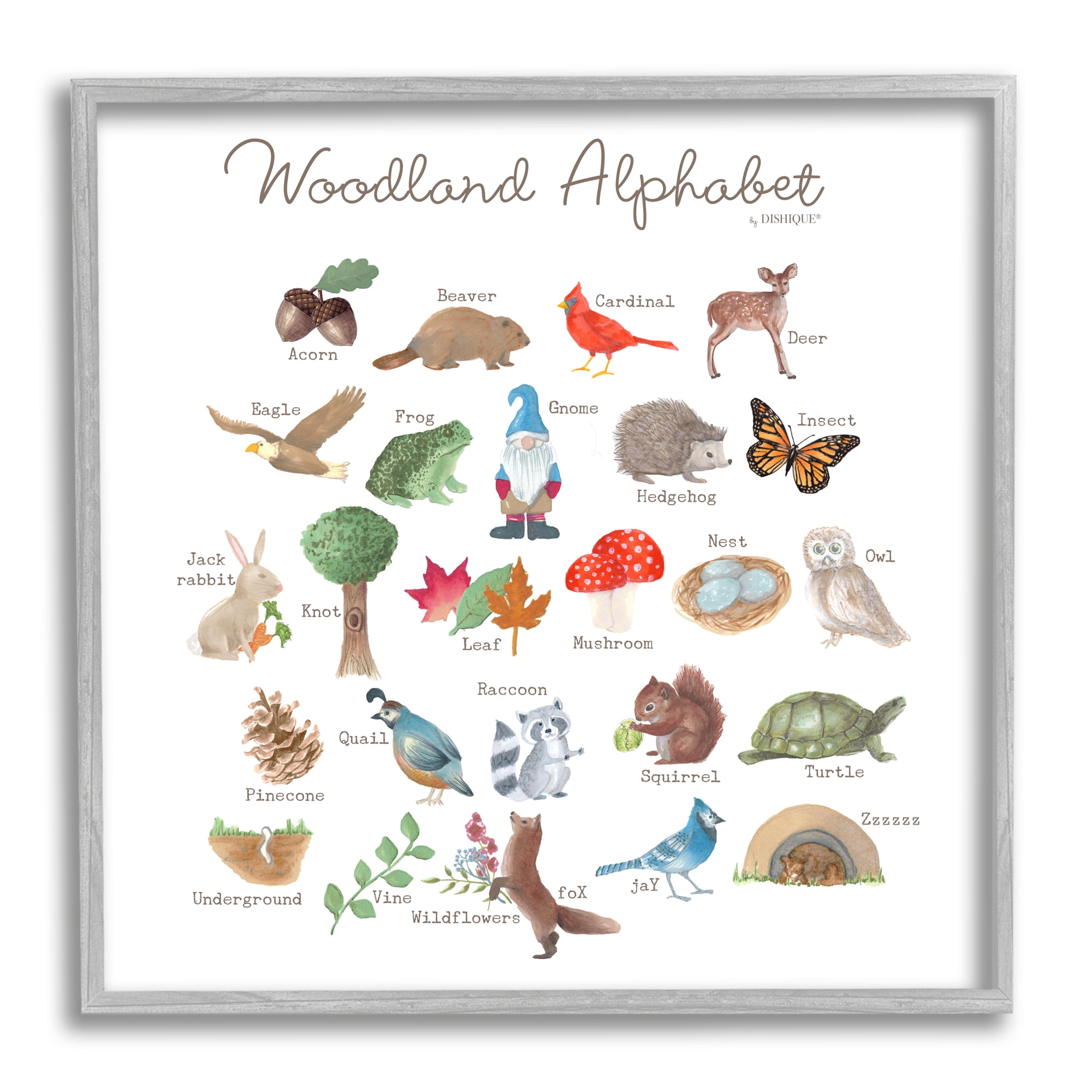 Stupell Industries Woodland Alphabet Wildlife Botanicals Learning Forest Creatures Graphic Art Gray Framed Art Print Wall Art, Design by Dishique