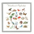 thumbnail image 1 of Stupell Industries Woodland Alphabet Wildlife Botanicals Learning Forest Creatures Graphic Art Gray Framed Art Print Wall Art, Design by Dishique, 1 of 7