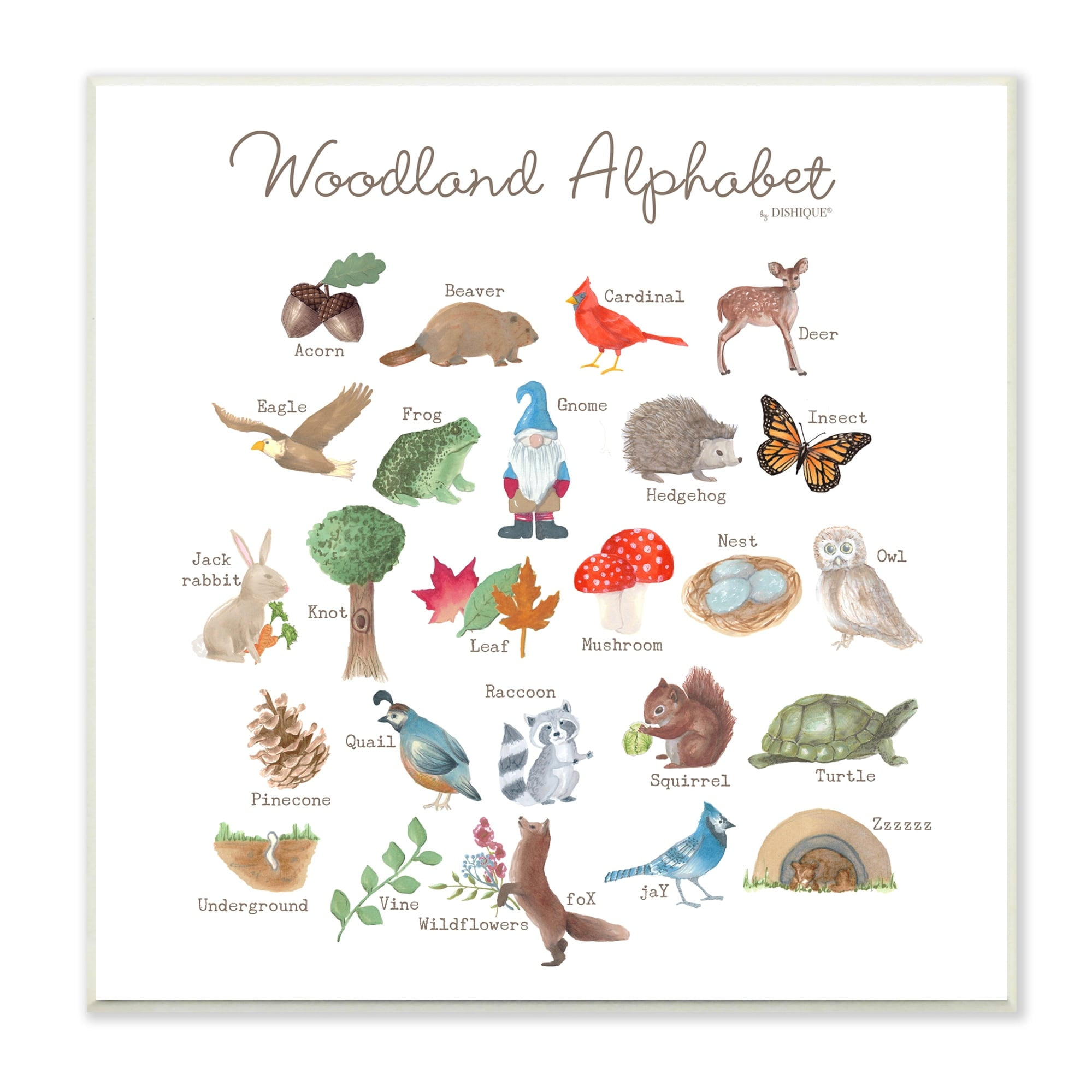 Stupell Industries Woodland Alphabet Wildlife Botanicals Learning Forest Creatures Graphic Art Unframed Art Print Wall Art, Design by Dishique