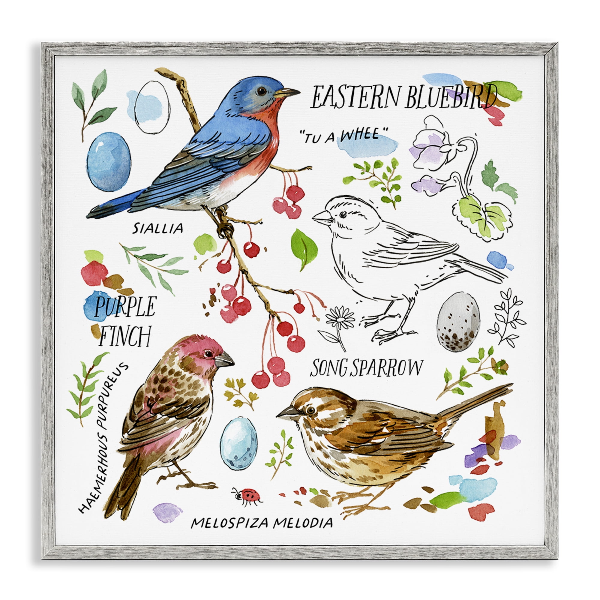 Stupell Industries Woodland Birds Diagram Animals Painting Gray Framed Art Print Wall Art, 17 x 17