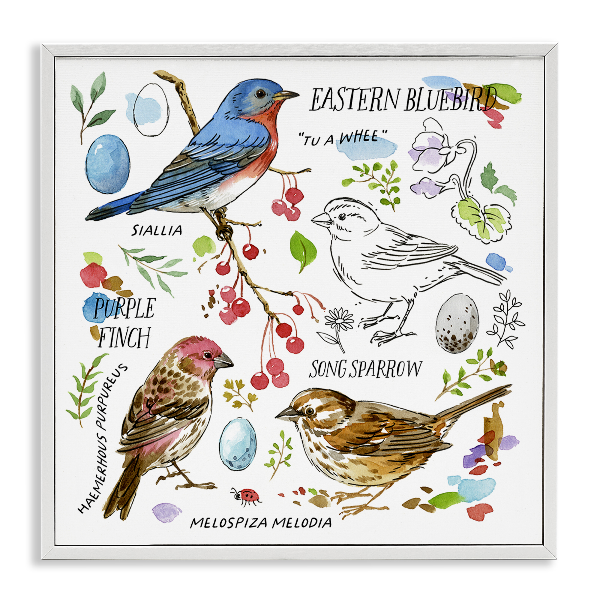 Stupell Industries Woodland Birds Diagram Animals Painting White Framed Art Print Wall Art, 17 x 17