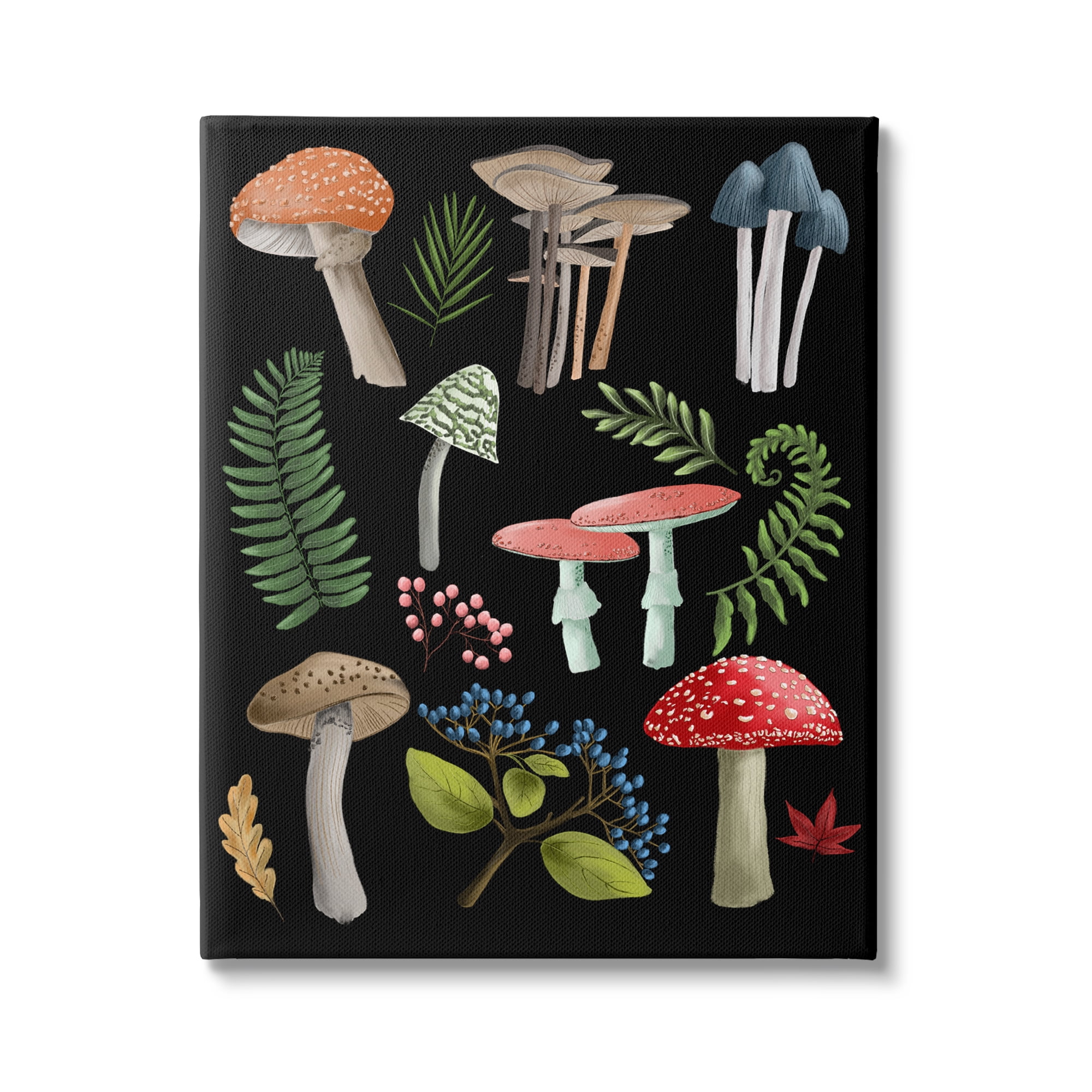Stupell Industries Woodland Botanicals on Black Botanical & Floral Painting Gallery Wrapped Canvas Art Print Wall Art, 16 x 20