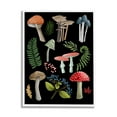 thumbnail image 1 of Stupell Industries Woodland Botanicals on Black Botanical & Floral Painting White Framed Art Print Wall Art, 16 x 20, 1 of 9