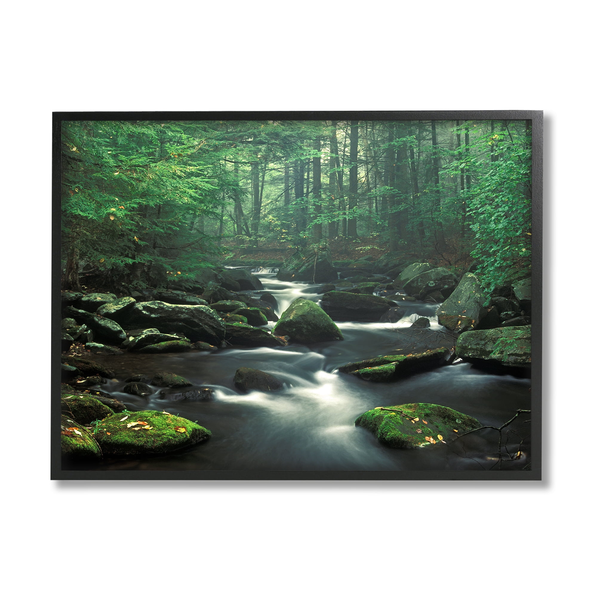 Stupell Industries Woodland Creek Landscape Nature Photography Black Framed Art Print Wall Art, 20 x 16