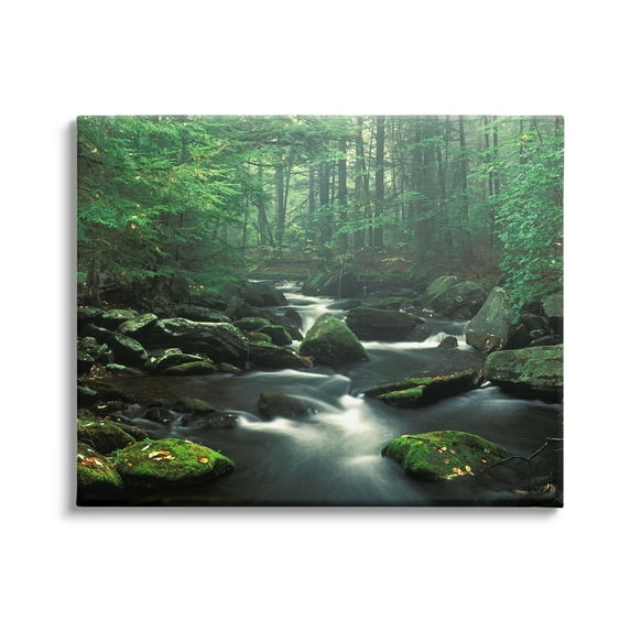Stupell Industries Woodland Creek Landscape Nature Photography Gallery Wrapped Canvas Print Wall Art, 40 x 30