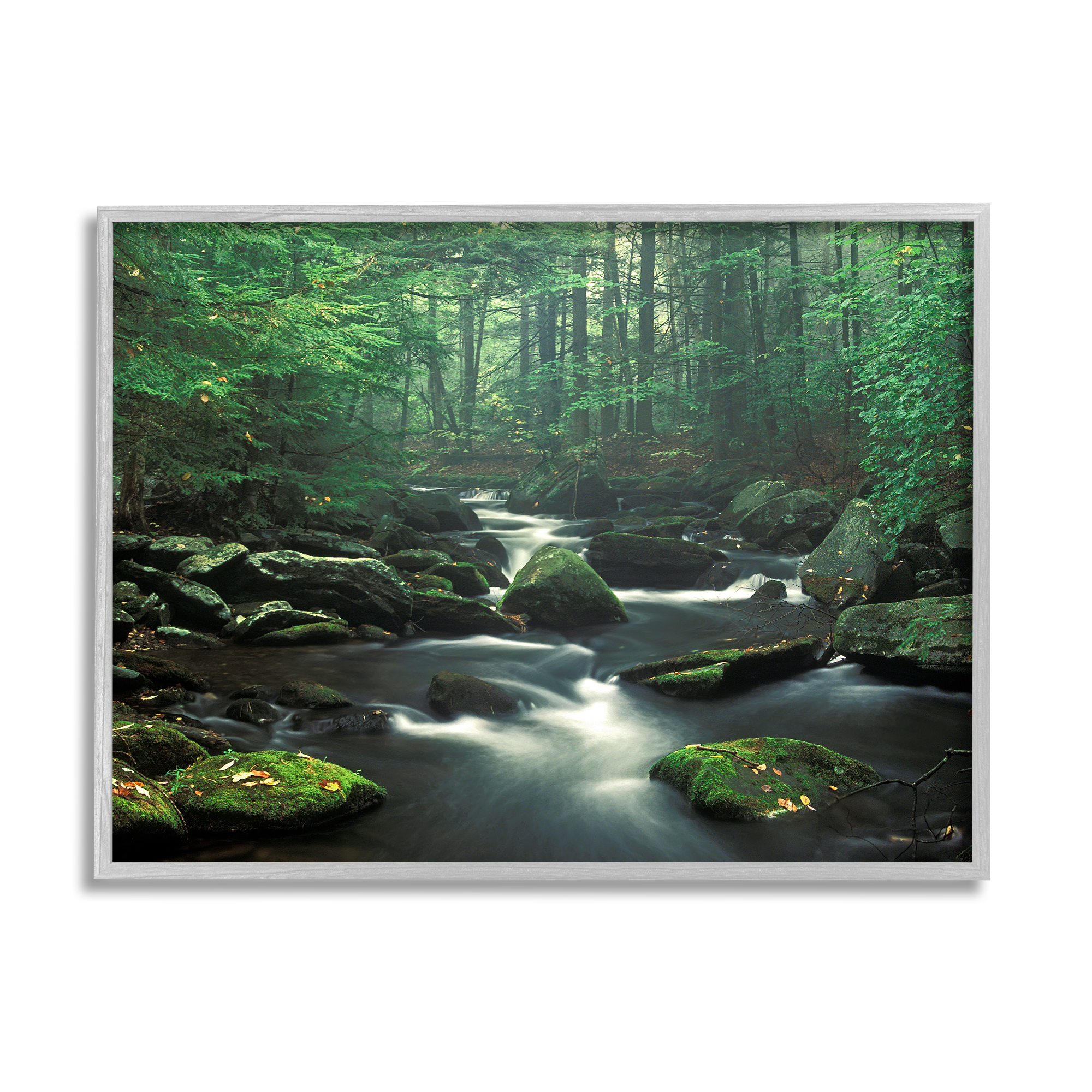 Stupell Industries Woodland Creek Landscape Nature Photography Gray Framed Art Print Wall Art, 20 x 16