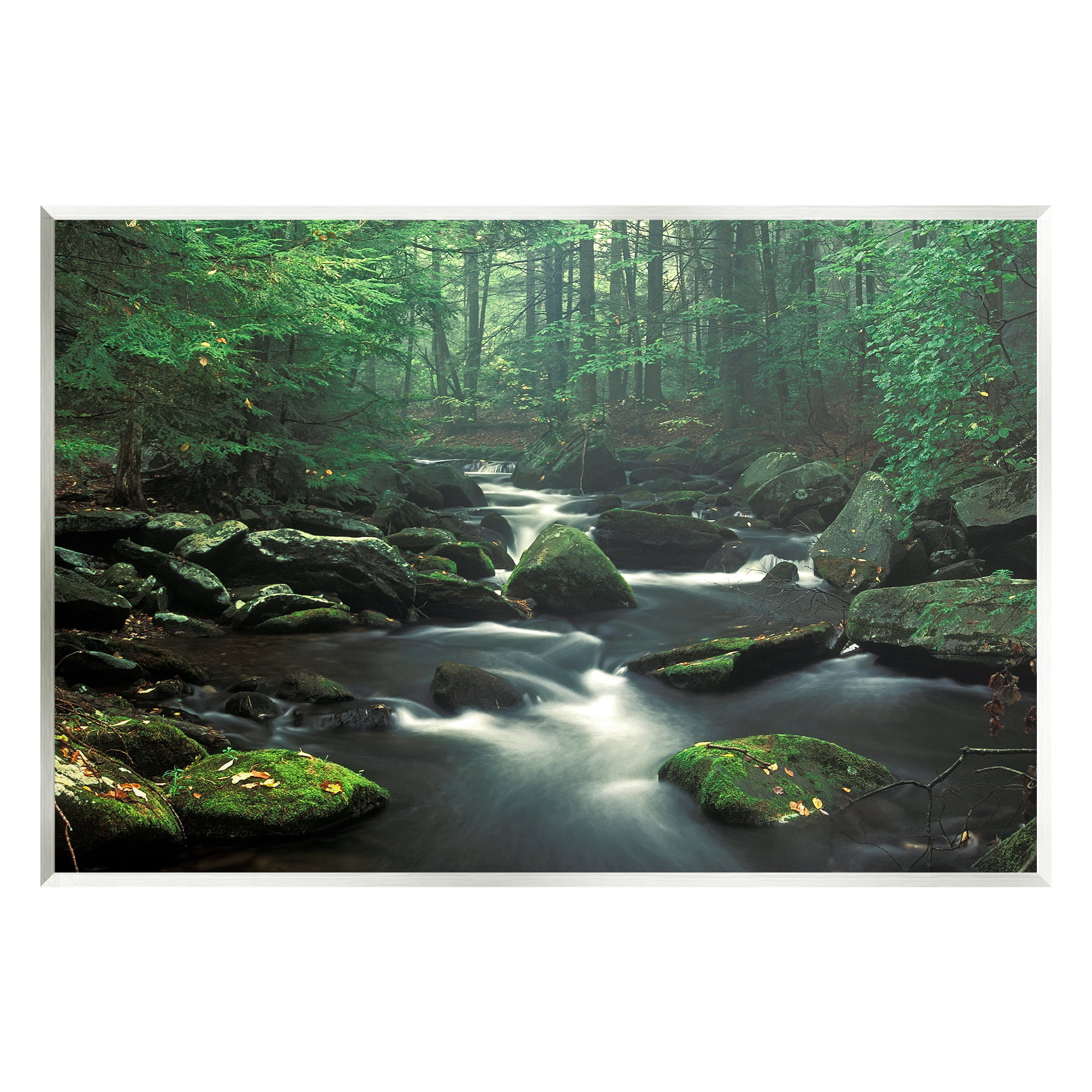 Stupell Industries Woodland Creek Landscape Nature Photography Unframed Art Print Wall Art, 19 x 13