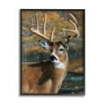 thumbnail image 1 of Stupell Industries Woodland Deer Portrait Animals & Insects Painting Black Framed Art Print Wall Art, 11 x 14, 1 of 8