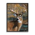thumbnail image 1 of Stupell Industries Woodland Deer Portrait Animals & Insects Painting Black Framed Art Print Wall Art, 24 x 30, 1 of 8