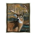thumbnail image 1 of Stupell Industries Woodland Deer Portrait Animals & Insects Painting Gray Floater Framed Art Print Wall Art, 25 x 31, 1 of 9
