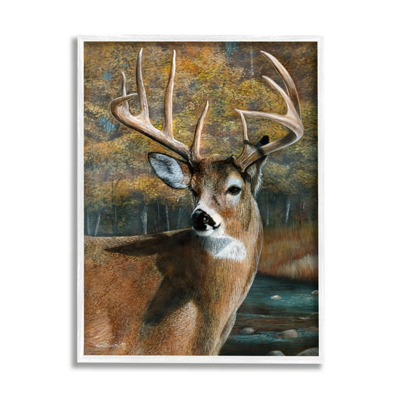 Stupell Industries Woodland Deer Portrait Animals & Insects Painting White Framed Art Print Wall Art, 11 x 14