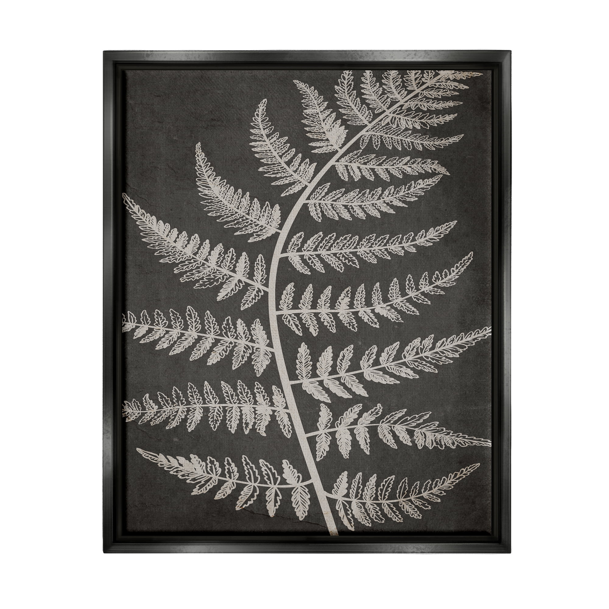 Stupell Industries Woodland Fern Outline Botanical & Floral Painting Black Floater Framed Art Print Wall Art, 17 x 21