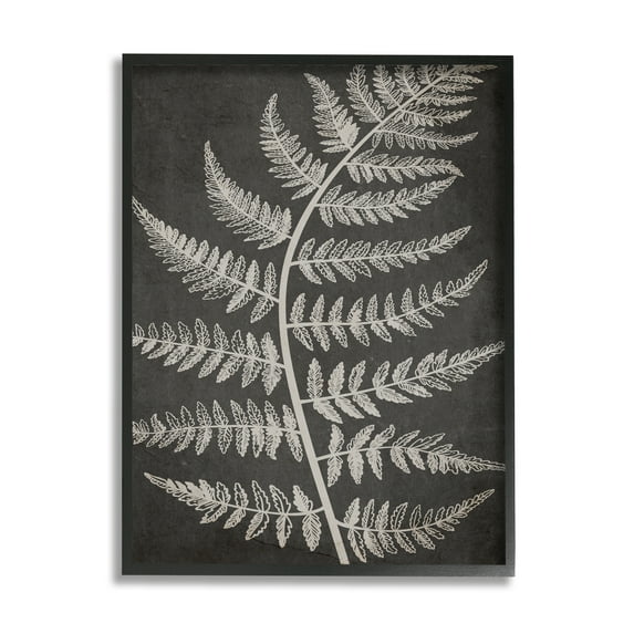 Stupell Industries Woodland Fern Outline Botanical & Floral Painting Black Framed Art Print Wall Art, 11 x 14