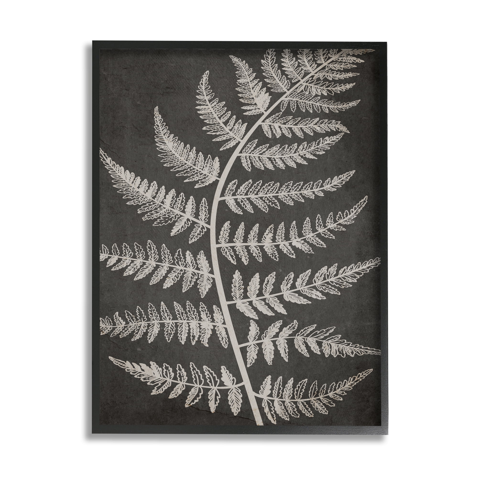 Stupell Industries Woodland Fern Outline Botanical & Floral Painting Black Framed Art Print Wall Art, 24 x 30