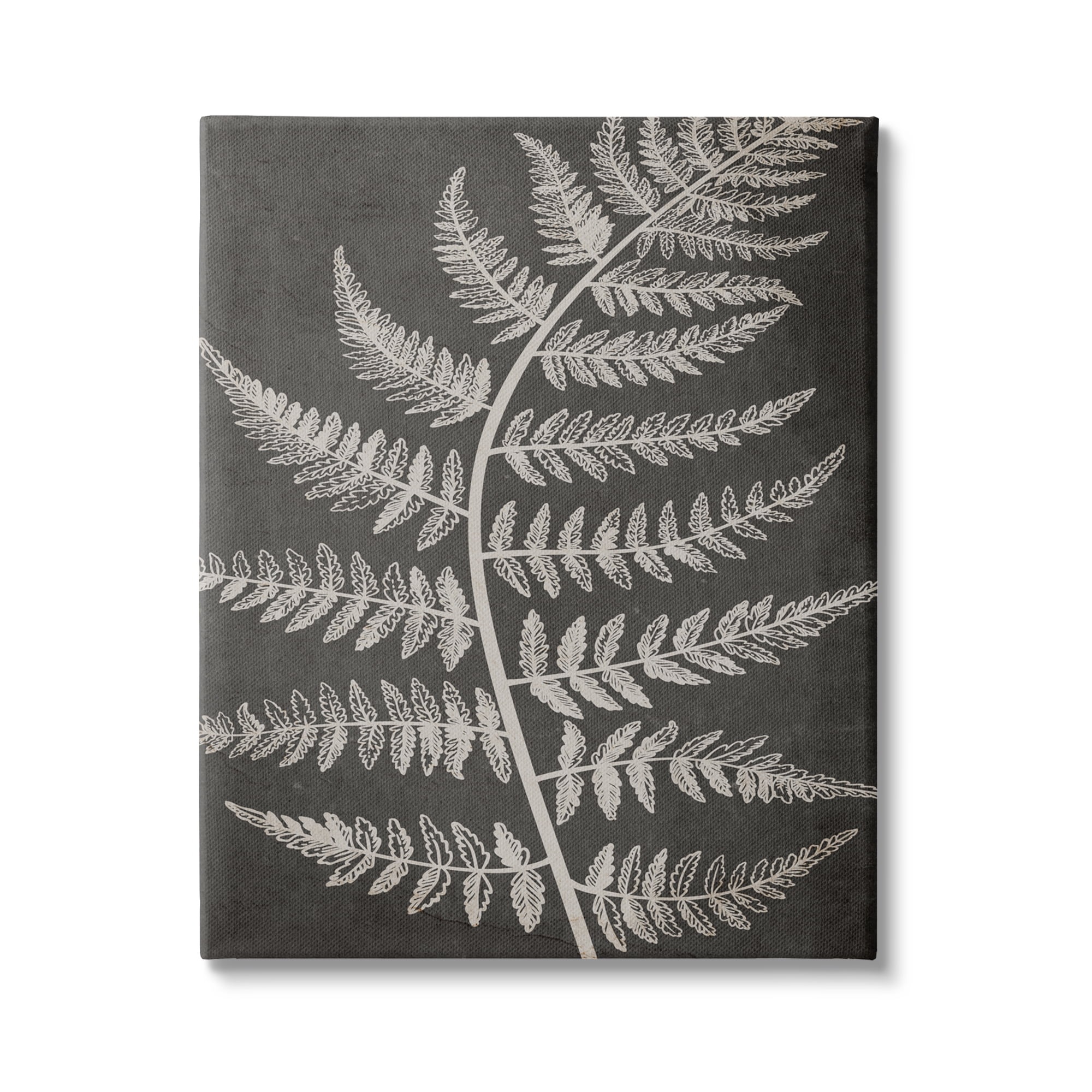 Stupell Industries Woodland Fern Outline Botanical & Floral Painting Gallery Wrapped Canvas Print Wall Art, 24 x 30