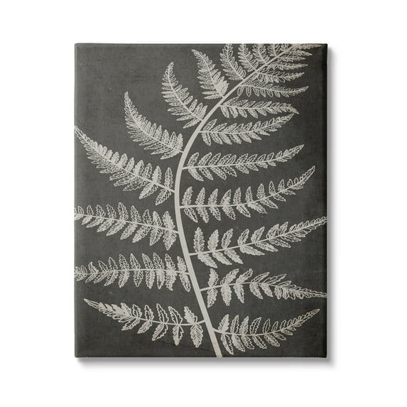 Stupell Industries Woodland Fern Outline Botanical & Floral Painting Gallery Wrapped Canvas Print Wall Art, 24 x 30