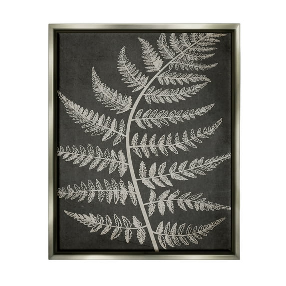 Stupell Industries Woodland Fern Outline Botanical & Floral Painting Gray Floater Framed Art Print Wall Art, 17 x 21