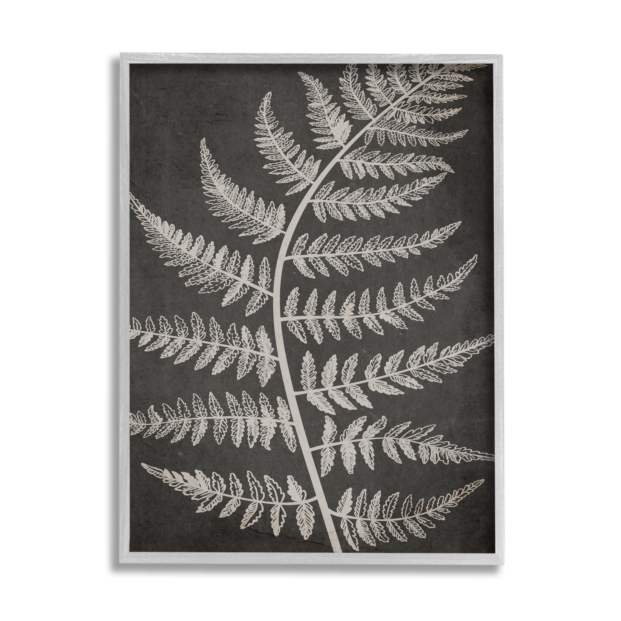 Stupell Industries Woodland Fern Outline Botanical & Floral Painting Gray Framed Art Print Wall Art, 11 x 14