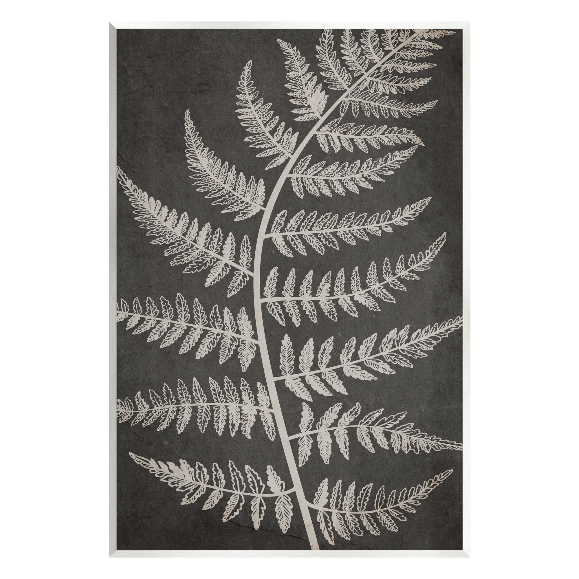 Stupell Industries Woodland Fern Outline Botanical & Floral Painting Unframed Art Print Wall Art, 13 x 19