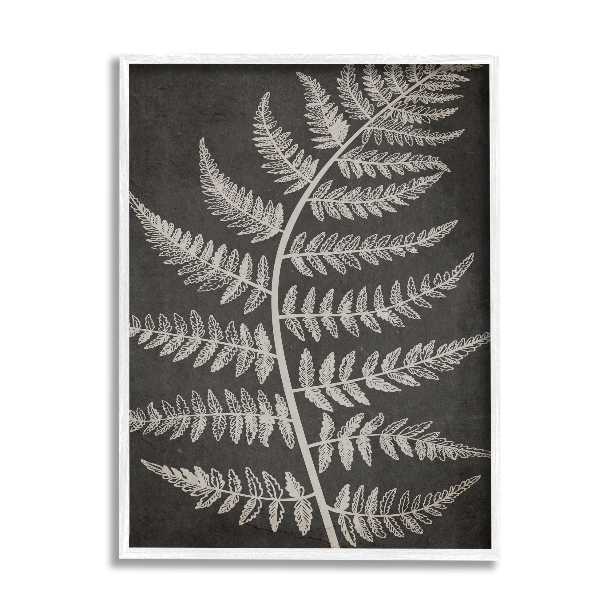Stupell Industries Woodland Fern Outline Botanical & Floral Painting White Framed Art Print Wall Art, 11 x 14